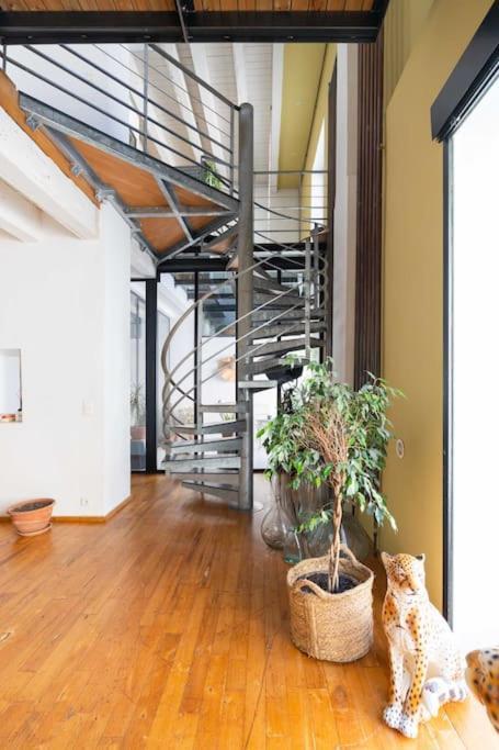 Le Loft Du Vieux-Port - St Victor Daire Marsilya Dış mekan fotoğraf