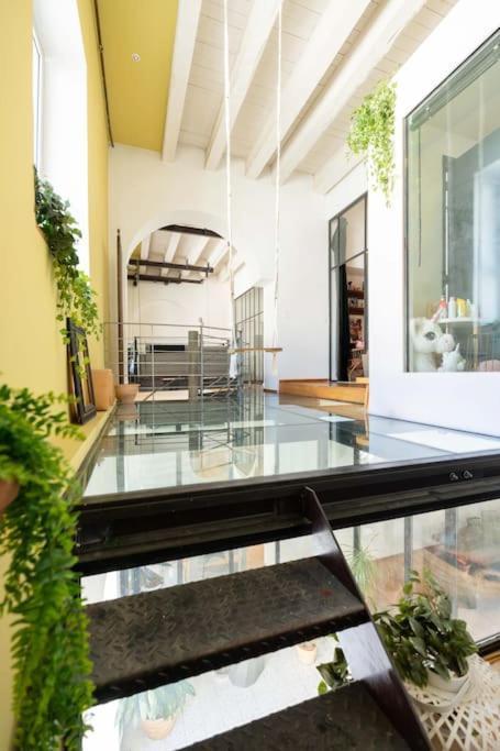 Le Loft Du Vieux-Port - St Victor Daire Marsilya Dış mekan fotoğraf
